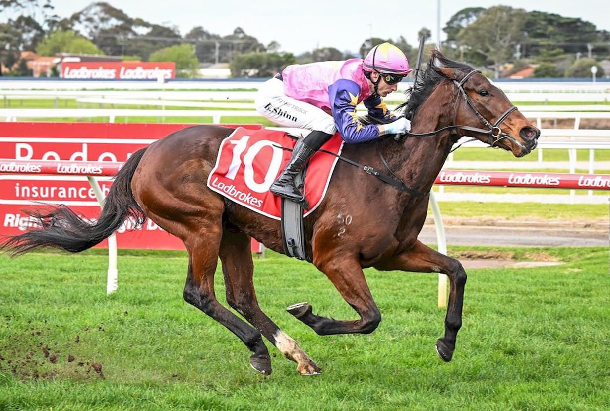 POMAH SCOOPS VOBIS RICHES